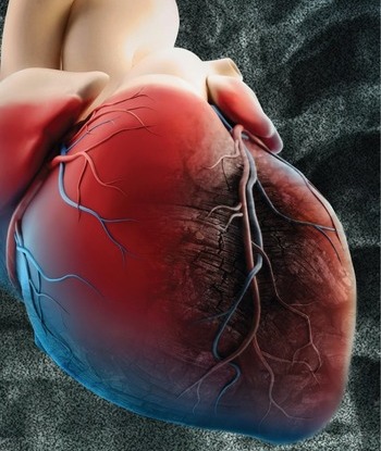 Dobia e troponinës për diagnostikimin e infarktit të miokardit ndikohet nga mosha